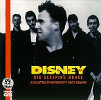 Big Sleeping House cover